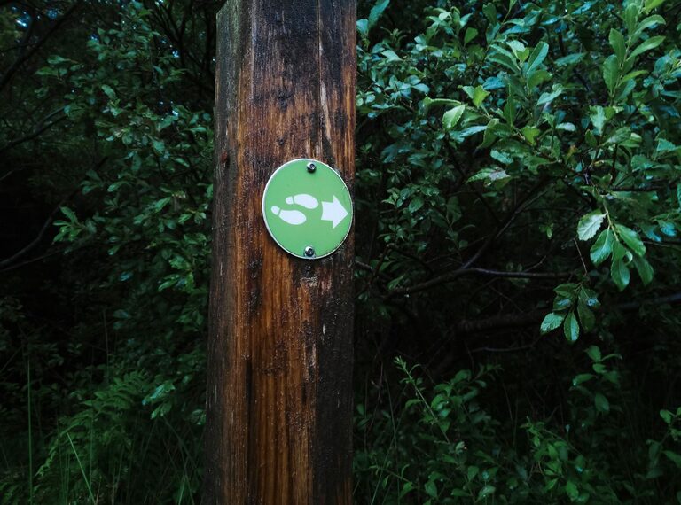 Beginner Guide to Mindful Walking